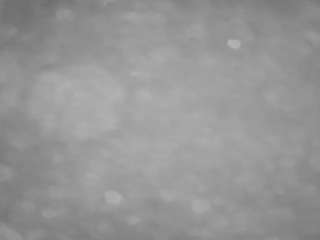 voyeurcam casa salsa pool 1